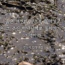 하나님의교회에서 침례 받은 사람~~? 하나님의교회 세계복음선교협회, www.watv.org 이미지