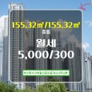 독수리부동산공인중개사사무소 이미지