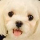 동호유적근린공원 이미지