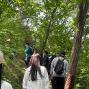 위드유메디 이미지