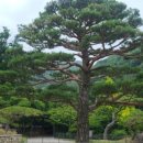 곤지암리조트 직원식당 이미지