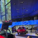 정자점 현대자동차 | 현대차를 오래 탄 사람이 처음 가본 현대 모터스튜디오 고양 방문 후기