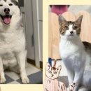 신화주얼리 이미지