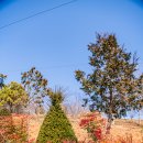 카페스토리 이미지