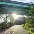 종합버스터미널 건너편 이미지