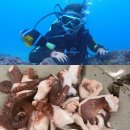 삼달다방 이미지