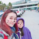 제주도 미니버스관광 제주도1박2일버스 편해