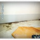 한샘가정의학과의원 이미지