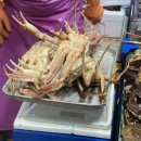 [노량진수산시장 맛집] 싱싱한 대게 포장후기 &lt;88수산&gt;