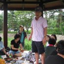 궁근정초 이미지