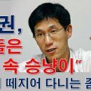 파쇼