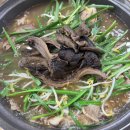 이든한끼 | 광진구맛집 능이마을 자양점 여름 몸보신 능이버섯 오리백숙 후기 (주차, 예약, 가족외식)