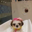 시티종합동물병원 이미지