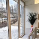 그루밍, 모아 이미지