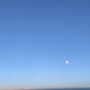 메르(MER)
