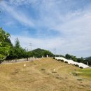 목포실내체육관 파크골프장 이미지