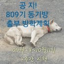 ♡♡809기 9월네째 마지막 주말 출.부 올립니다♡♡ 공지/9월28일부터10월11일 방학 이미지