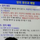 줄기세포와 암----강남중앙침례교회 은혜강좌--서울대학교 농업생명과학대. 바이오 시스팀학과 정종훈교수 이미지