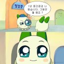 개가트닌생