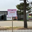 스카이72 골프연습장 이미지