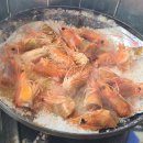 털보애견 이미지