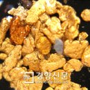 통일신라 당대 최치원의 '사금캐기' 표현 기록 (9세기)