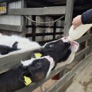 병양농장 이미지