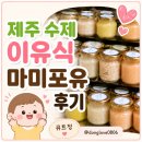 제주도 이유식 매장 마미포유 이용후기 냉장 냉동 보관 기간