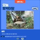 실터