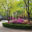 현대파크빌 옆 이미지