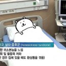 삼삼오리궁 네이버블로그