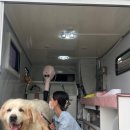 멍즈니랜드 이미지