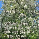 디카시쓰기 이미지