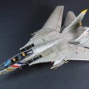 ACE 1/144 F-14D Super Tomcat "Bounty Hunters" 이미지