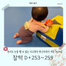 외갓집멍카페 | [26.01.15.] 찰떡일기 (56) :: D+253~259 한시도 가만히 있지 않는 에너자이저 장난꾸러기 생후 36주차...