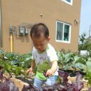 예린농장 이미지