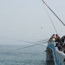 울진시범바다목장해상낚시 이미지