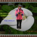 여미마 이미지
