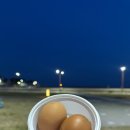 이중돈곱창 | 차박, 캠핑 추천 밀키트, 곱창 파는 청년들