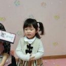 희락어린이집 Daum카페