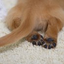 기인메디칼 이미지