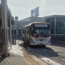 뉴진위여객 이미지