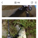 허슬러(26) 이미지