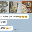 졸리쥬드 이미지