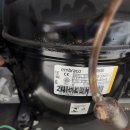 정진참치 이미지