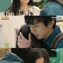 상상고양이 이미지