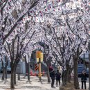 기억을 걷다 3 이미지