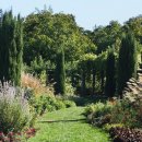 스파펜션링스 이미지