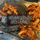 참곰장어 이미지