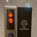 브라운도트 엑스코점 이미지